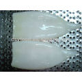 Squid Tube Fish with cheap price